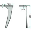 Dent de herse rotative droite (6574300)