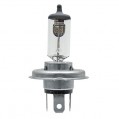 Ampoules 12V