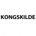 Kongskilde