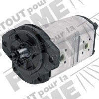 Pompe hydraulique adaptable à double effet pour RENAULT