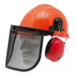 Casque forestier complet