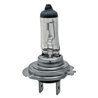 Ampoule halogène H7 - 12V 55W